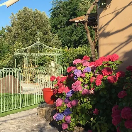 Un Petit Paradis En Provence * Fréjus