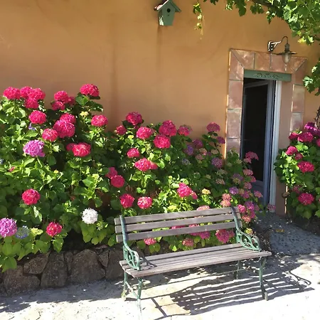 Un Petit Paradis En Provence بيت ضيافة *